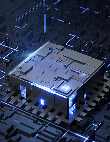 ϸ�����������